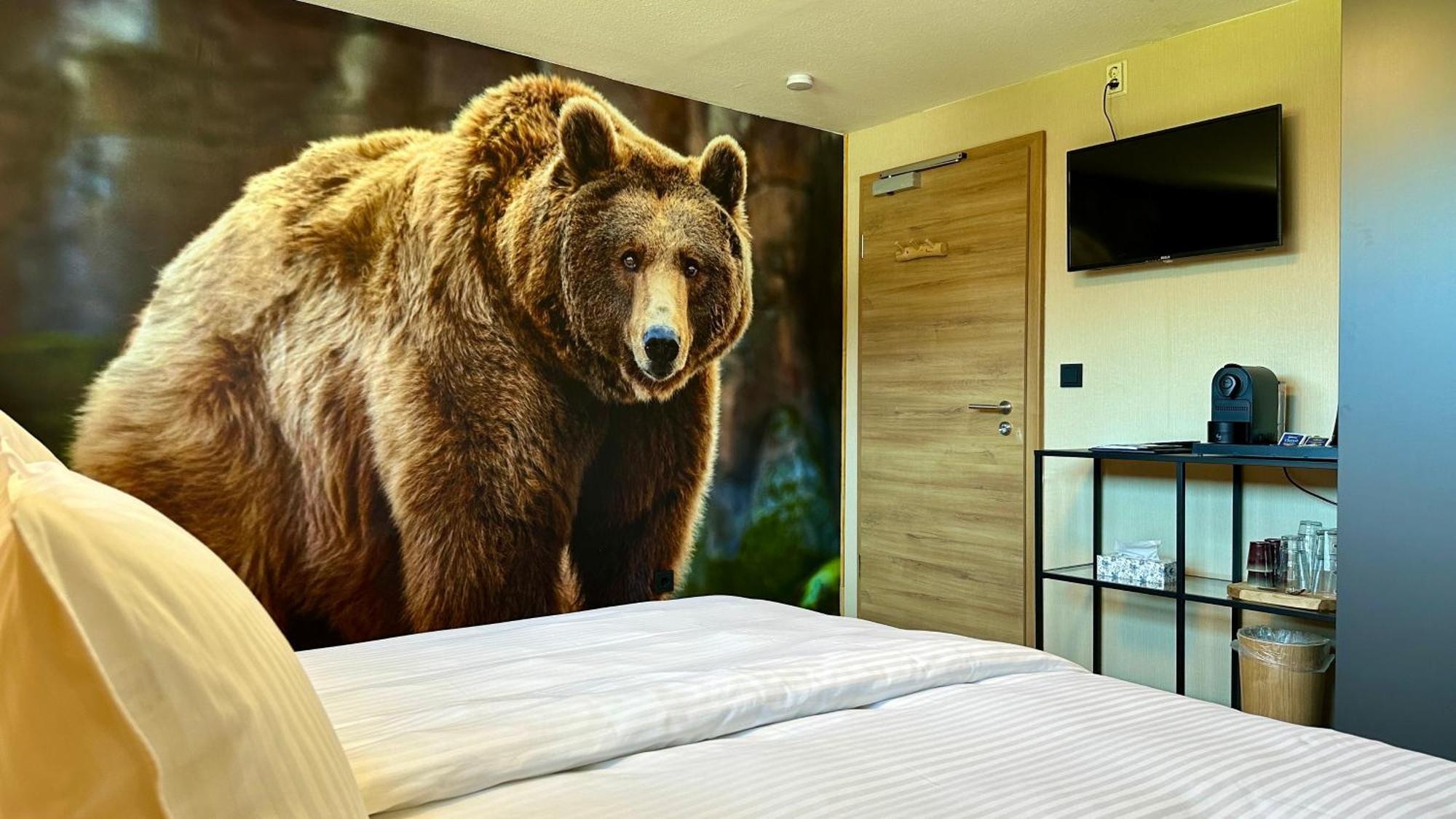 Alpen Lodge ريزلرن المظهر الخارجي الصورة